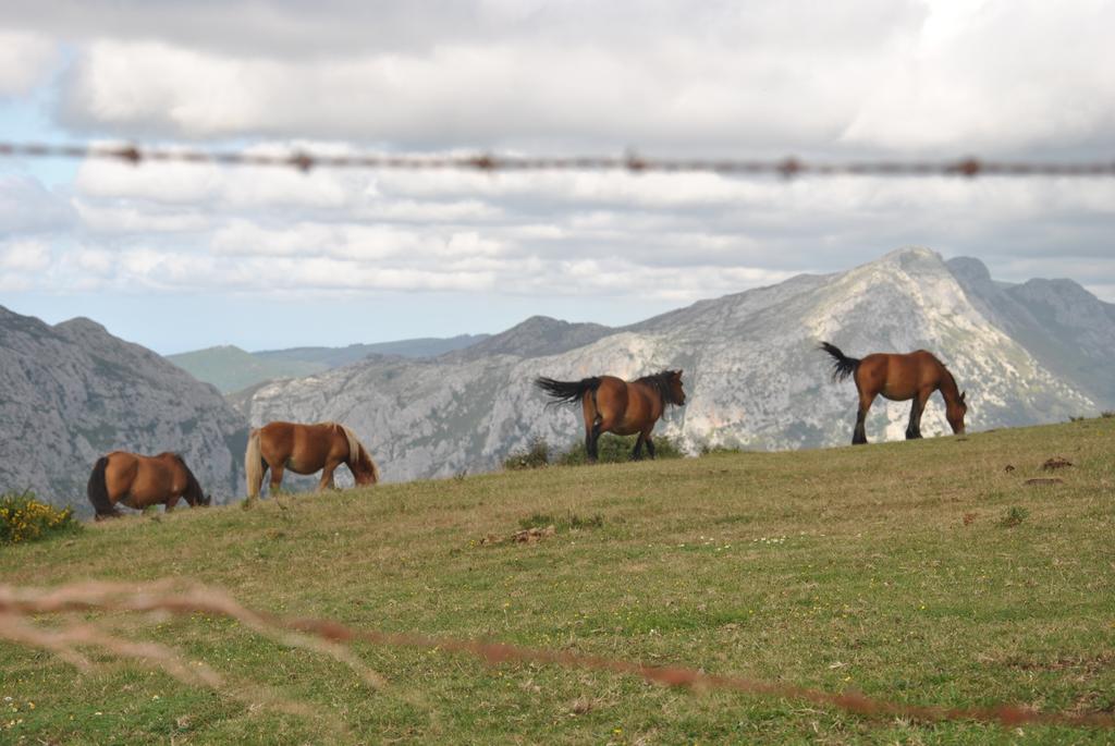 Gasthaus El Molino De Cicera Zimmer foto